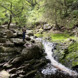 Aanbetaling dagwandeltocht Ardennen 8 mrt 2026