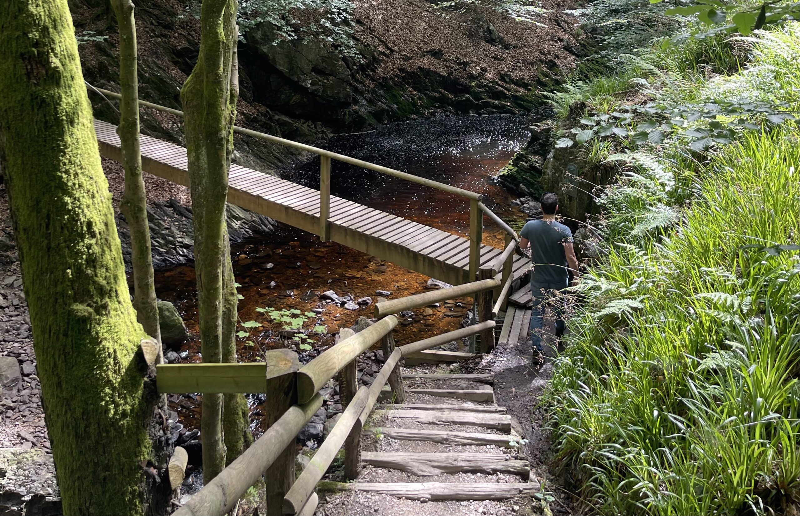 De Krachtwijzer | Opleiding familieopstellingen | Familiesysteem | Levenskunde | Persoonlijke ontwikkeling